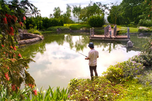 Ayala Greenfield Estates